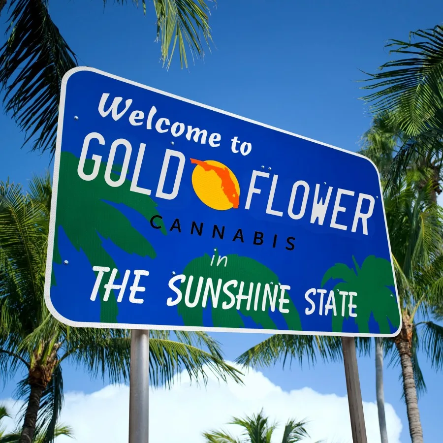 The Science Behind CBD: How It Works in Your Body