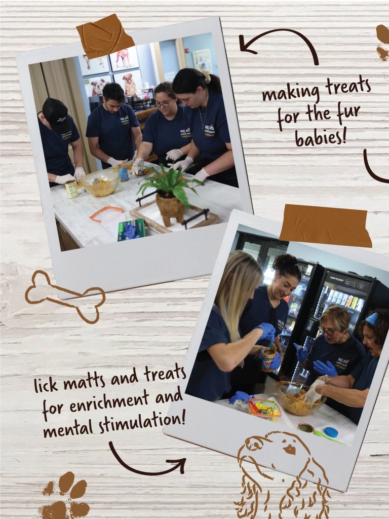 Goldflower team making treats for the fur babies, and lick mats and treats for enrichment and mental stimulation