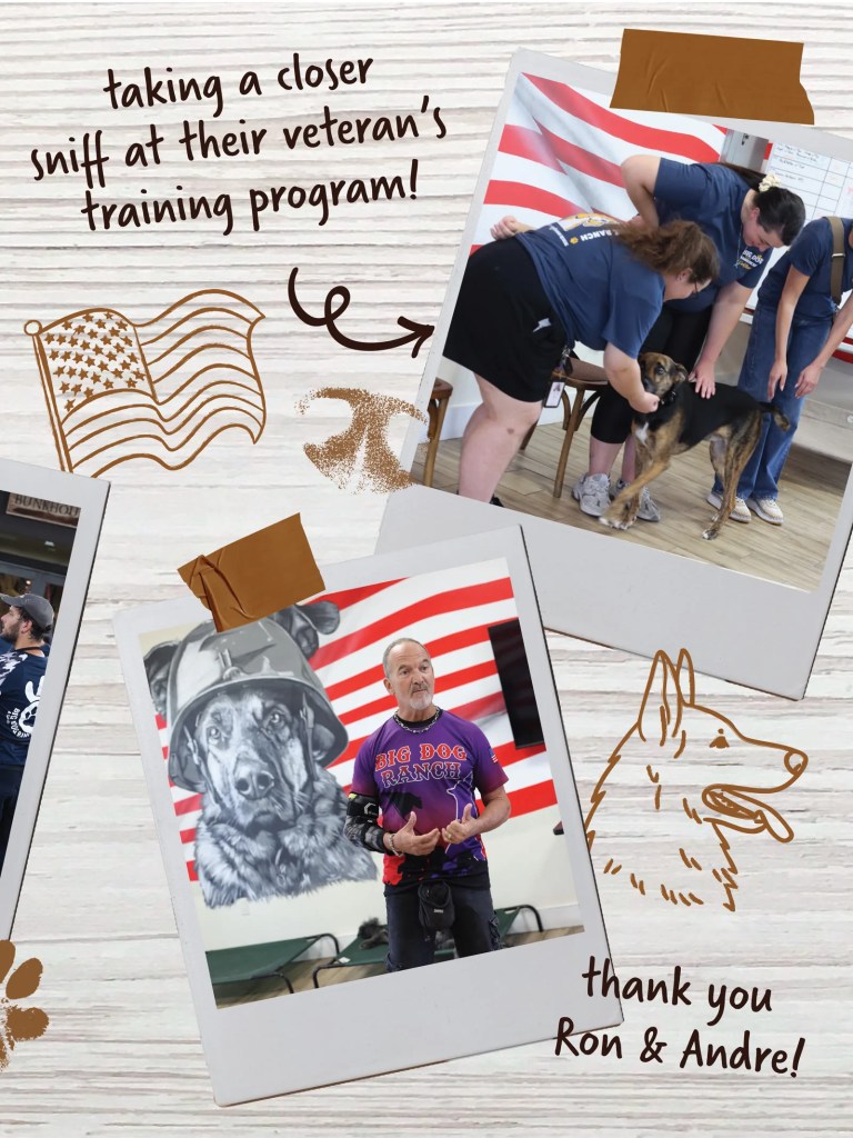 Taking a closer sniff at Big Dog Ranch's veteran's training program. Thank you Ron and Andre!