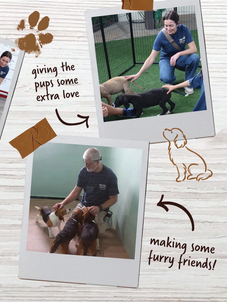 Giving the pups some extra love and making some furry friends